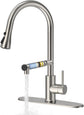 Filter Water Kitchen Faucet with Pull down Sprayer, Brushed Nickel Stainless